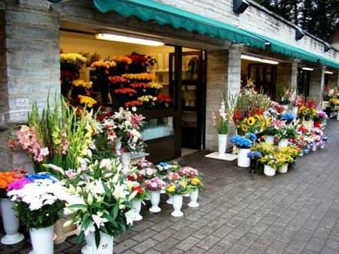 新疆石河子花店實拍